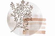 海角官网这次又放大招了，网友都在转发（441 ）