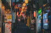 高帧率蓝光【夜幕欲潮】宋承宪×翁虹狂热暧昧高清中文字幕在线秒播